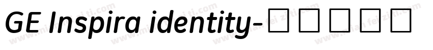 GE Inspira identity字体转换